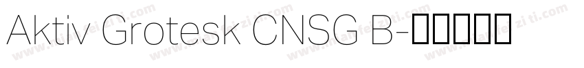 Aktiv Grotesk CNSG B字体转换